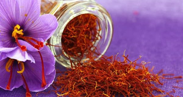 نگاهی به تاریخچه کشت طلای سرخ در رباط‌کریم/چه کسی زعفران کاری را در رباط‌کریم رواج داد؟