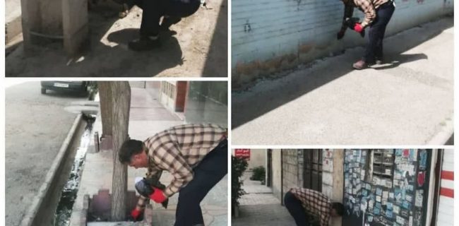 شهر گلستان برای مقابله با موش ها تله گذاری شد