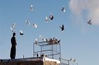 كبوتربازی جوان اهل گلستان را به كام مرگ كشاند/ جزئیات سقوط مرگبار