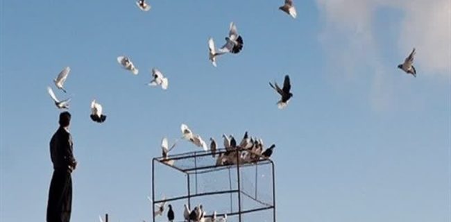 كبوتربازی جوان اهل گلستان را به كام مرگ كشاند/ جزئیات سقوط مرگبار