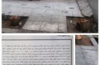 جریمه سنگین و اخراج کارگران برای قطع دو درخت در رباط کریم!