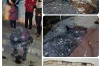 چهارشنبه سوری یا چهارشنبه وحشت؟ سوختگی شدید جوان ۲۵ ساله در رباط‌کریم