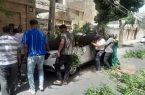 وقتی غفلت از درخت، خسارت به بار می‌آورد؛ سقوط درخت روی خودرو در گلستان