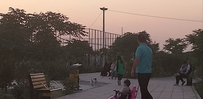 ادامه سگ‌گردانی در بوستان‌های رباط‌کریم / لطفاً ممنوعیت سگ‌گردانی را فعلاً اجرا نکنید!