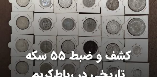 کشف و ضبط ۵۵ سکه تاریخی در رباط‌کریم؛ قاچاقچی ناکام در دام قانون!