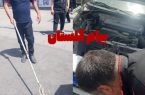 مار سمی، مهمان ناخوانده یک خودرو در گلستان؛ راننده تا مرز سکته رفت