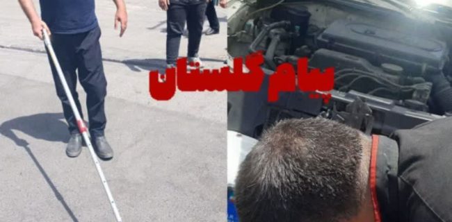مار سمی، مهمان ناخوانده یک خودرو در گلستان؛ راننده تا مرز سکته رفت