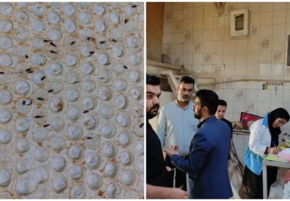 نان با طعم شپش در نسیم شهر؛ رسوایی در تنورِ بی‌نظارتی!