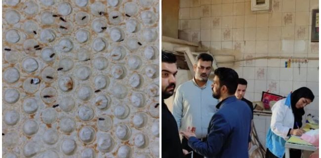 نان با طعم شپش در نسیم شهر؛ رسوایی در تنورِ بی‌نظارتی!