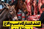 کشف کشتارگاه غیرمجاز اسب و الاغ در رباطکریم با ۱۲۰۰ کیلوگرم گوشت
