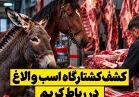 کشف کشتارگاه غیرمجاز اسب و الاغ در رباطکریم با ۱۲۰۰ کیلوگرم گوشت