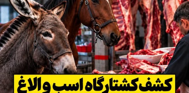 کشف کشتارگاه غیرمجاز اسب و الاغ در رباطکریم با ۱۲۰۰ کیلوگرم گوشت کشف کشتارگاه غیرمجاز اسب و الاغ در رباطکریم با ۱۲۰۰ کیلوگرم گوشت